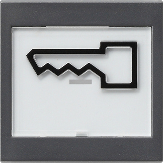 Gira S-55 Антрацит Клавиша с полем для надписи и символом дверь